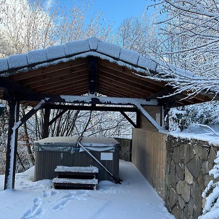 Chalet Adonis - Montriond, Morzine, Avoriaz Eksteriør billede