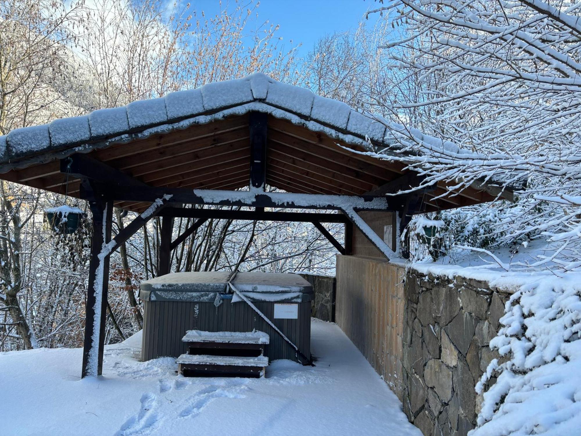 Chalet Adonis - Montriond, Morzine, Avoriaz Eksteriør billede