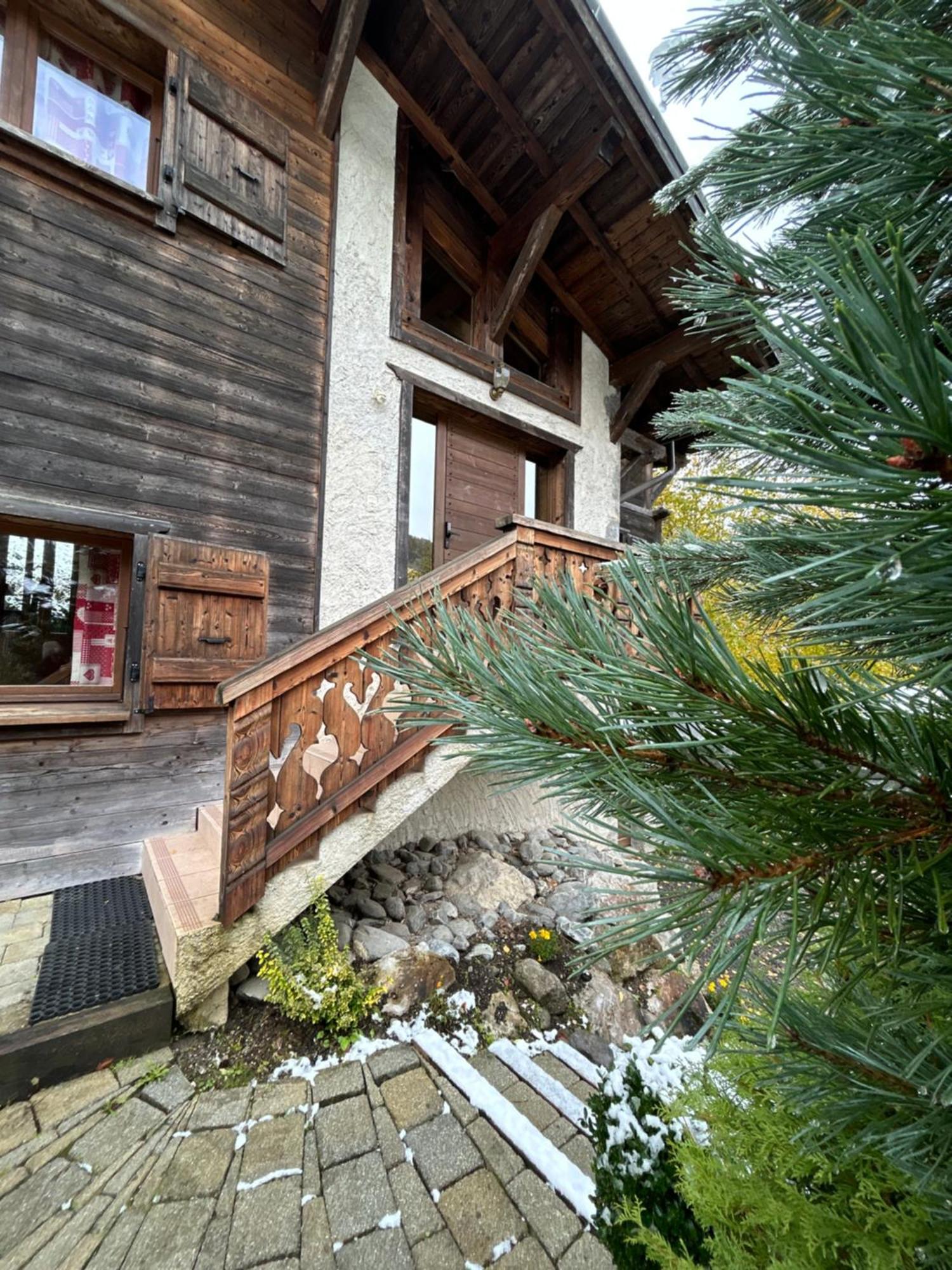 Chalet Adonis - Montriond, Morzine, Avoriaz Eksteriør billede