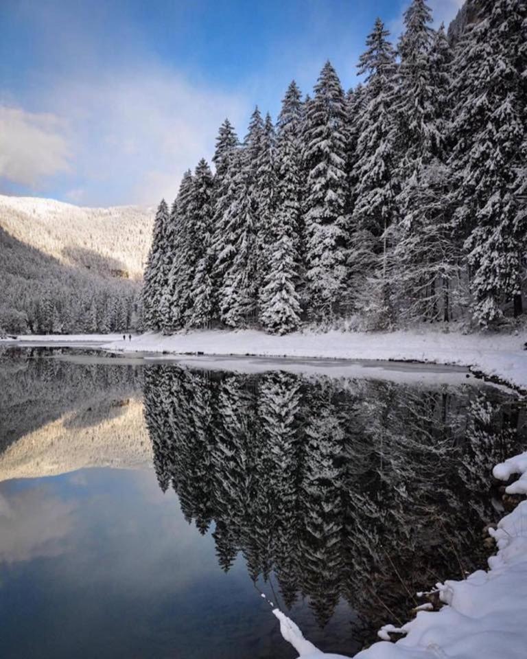 Chalet Adonis - Montriond, Morzine, Avoriaz Eksteriør billede